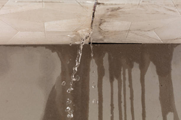 Professional Water Damage Repair technician working in Spicewood, TX